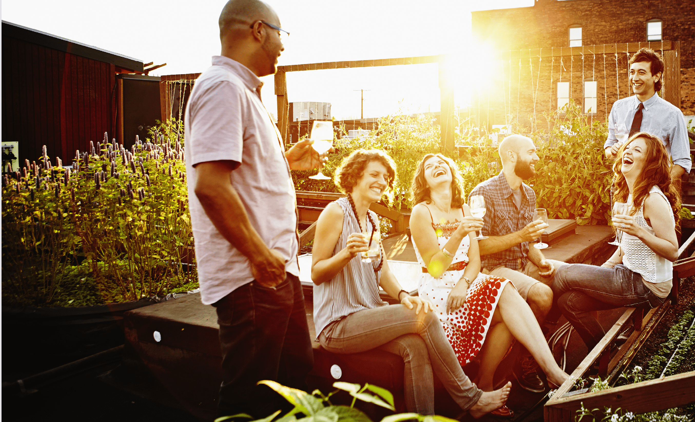 Laughing group of friends sharing drinks together in rooftop garden at sunset on summer evening