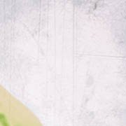 Engineers looking at blueprints