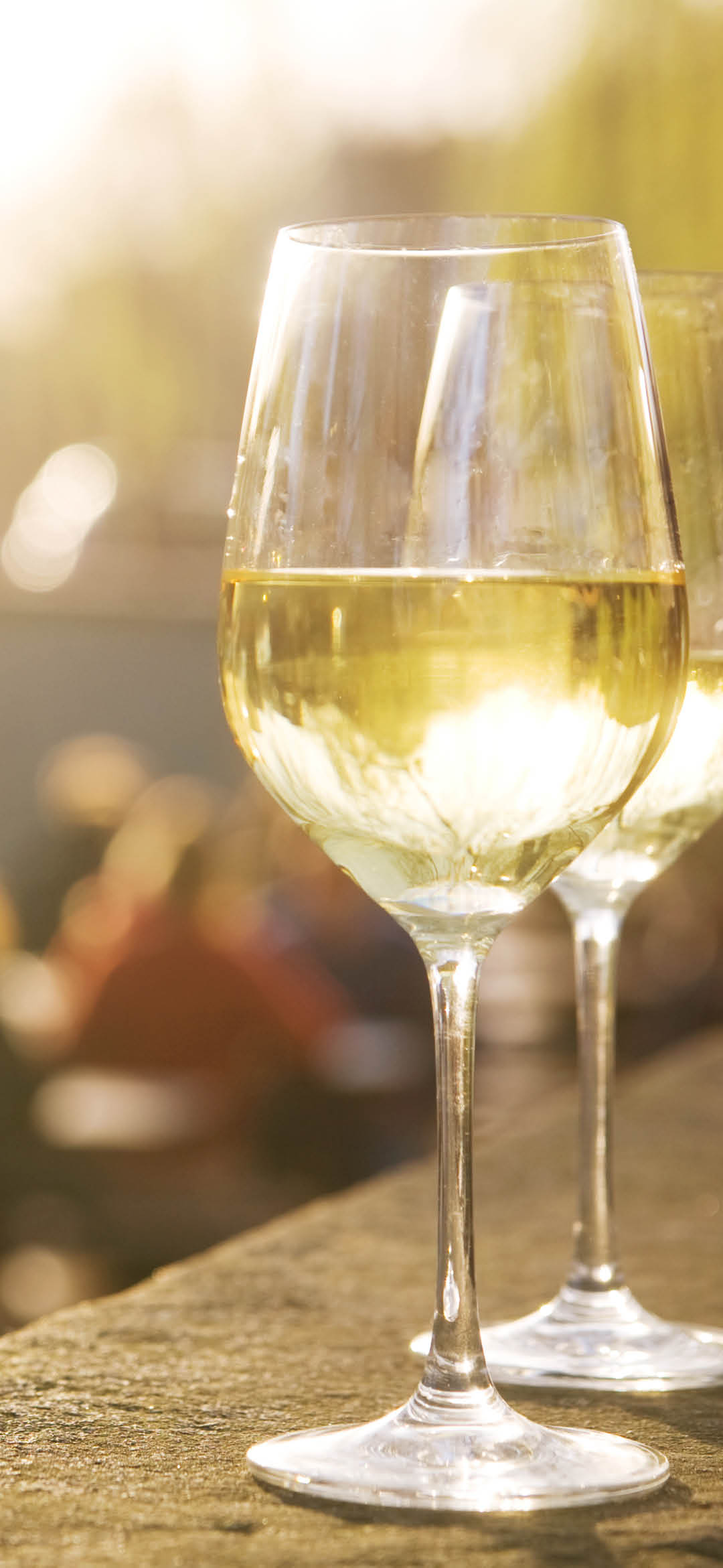 Two glasses of chardonnay on a sunlit cafe terrace, sunset light shining through the liquid.